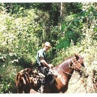 guillermo corona del conde