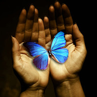 Exponential Growth Consulting