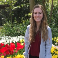 Allison Moll