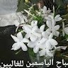 اضحك من قلبك