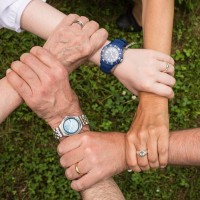 groupe AFEST Elycoop