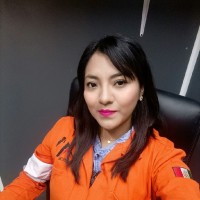 Marisol Dominguez Peralta