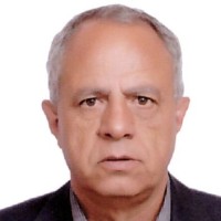 Ltifi Ali