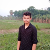 Md Jehadul Jehadul