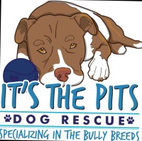 It's The Pits Dog Rescue