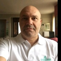 Ivan Ziglioli
