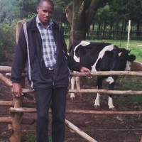 Mathew Mbugua