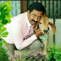 GUNASEKHAR REDDY CHITTOOR