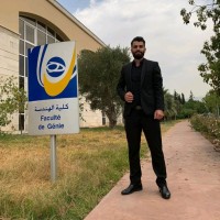 Hussein Bajouk