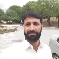 Muhammad Ansar Ali