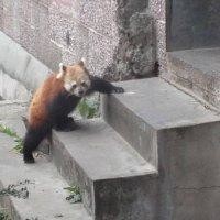 王于鑫