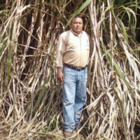 Max Robert Quintanilla Alfaro