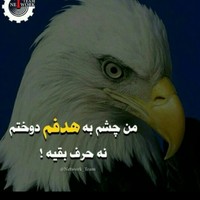 Never Give Up
