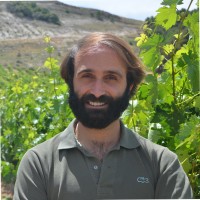 Gabriel Postigo Vergel