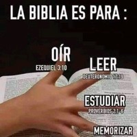 Estilo Propio