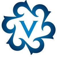 Visi Italy
