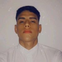 Jesus Véliz Alvarez