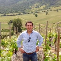 Rodrigo Salgado