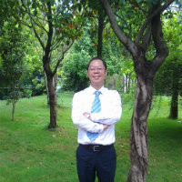 黄泽武