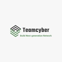 Team Cyber