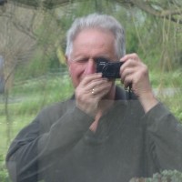 Pim Hennis