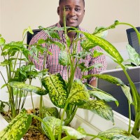 Augustine Williams