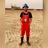 Farouk Hossam