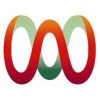 Cirt Digital Jalisco