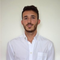 Giulio Verini