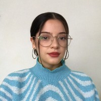 Ena Ardiles