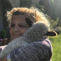 Gülçin Poyraz