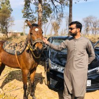 Zair Shah