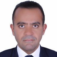 Mahmoud Mohamed El-Atrees