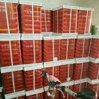 白文明