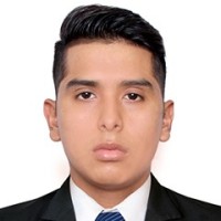 Harold Jesus Ricalde Ludeña