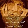 Muhammad Hassnain