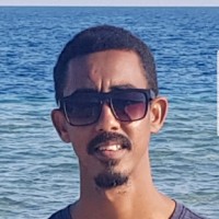 Omar Alsafi