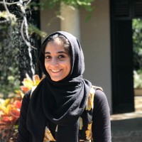 Hafsa Shibli