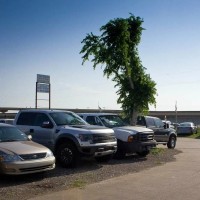 Mustang Ridge HiTech Inc