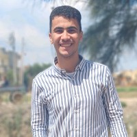 Mohammed Fayed