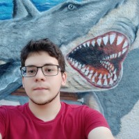 Pietro de Medeiros Negri Silva