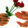 M Akmal Shahid Shahid