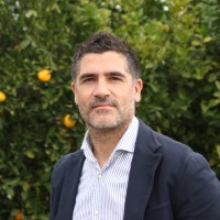 David Ribera