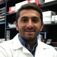 Hamza Celik