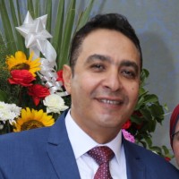 Hossam Waheed