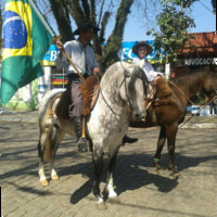 Diogo Silveira Kucharski