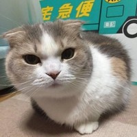蔺翰林