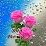 Jeethu Jose