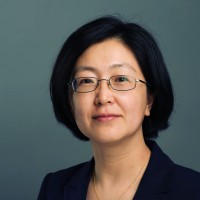 Yilin Qi