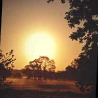 Oliver Huntley-Robertson